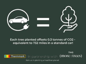 Infographic on more:trees tree planting initiative